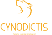 Cynodictis